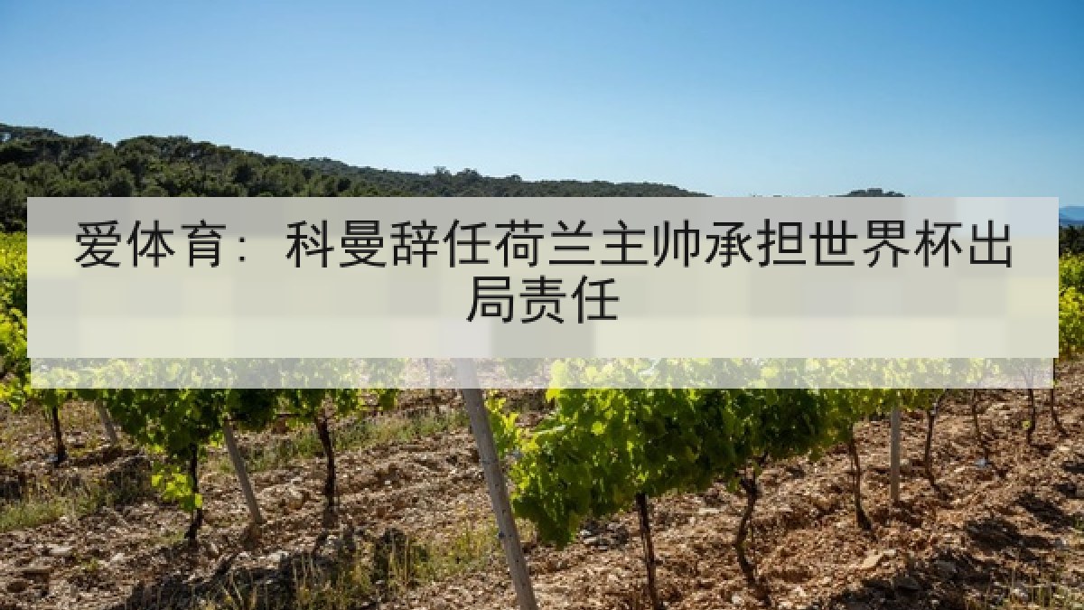 爱体育: 科曼辞任荷兰主帅承担世界杯出局责任