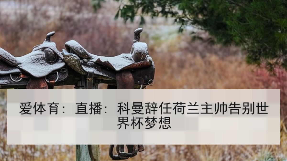 爱体育: 直播: 科曼辞任荷兰主帅告别世界杯梦想 爱体育: 直播: 科曼辞任荷兰主帅告别世界杯梦想