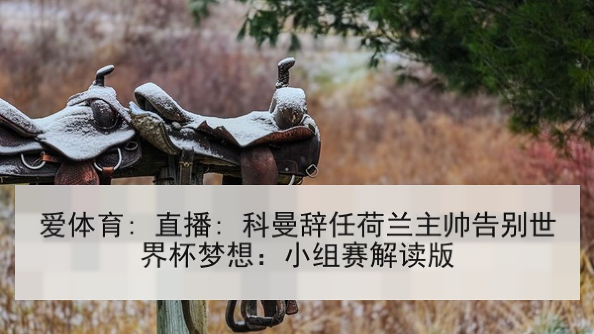 爱体育: 直播: 科曼辞任荷兰主帅告别世界杯梦想：小组赛解读版